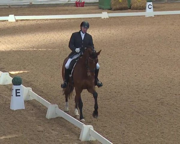 Reitturnier Kreuth 2019