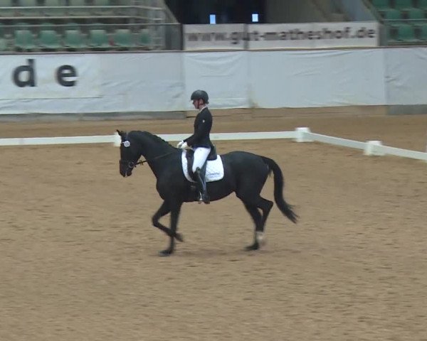 Reitturnier Kreuth 2019