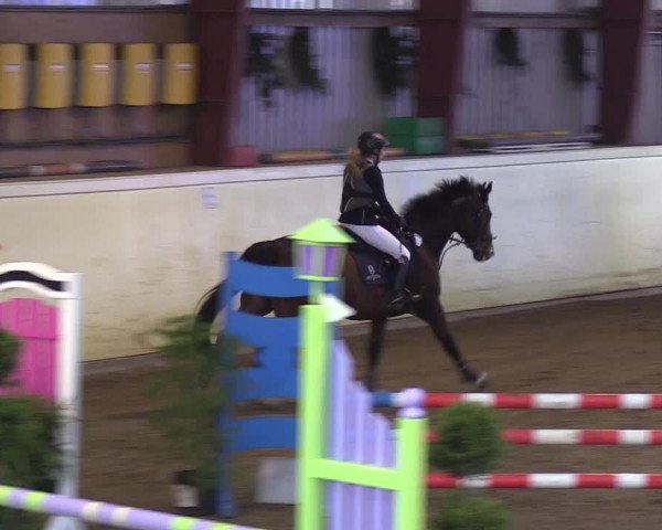 Reitturnier Looper Holz 2019