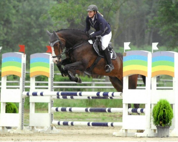 Springpferd Cloud Number Nine (Deutsches Reitpferd, 2005, von Crazy true Colour)