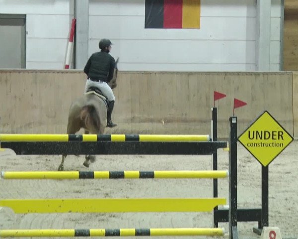 Reitturnier Prussendorf 2019