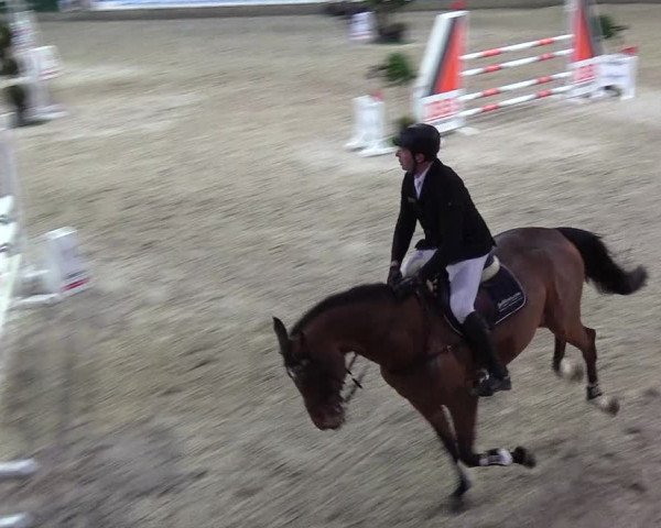 Nordic Jumping events 2019