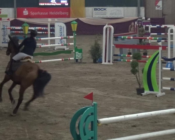 Reitturnier Eppelheim 2019