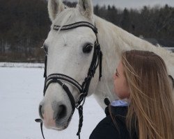 dressage horse Leonn RT (Westphalian, 2004, from Lamerto H)