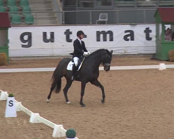 Reitturnier Kreuth 2019