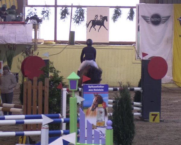 Reitturnier Looper Holz 2019