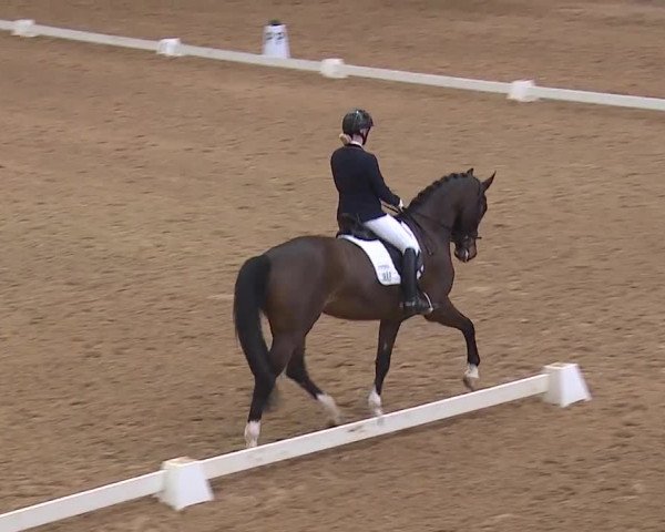 Reitturnier Kreuth 2019