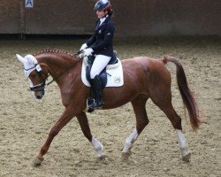 dressage horse Dinara (Westphalian, 1995, from Dinard L.)