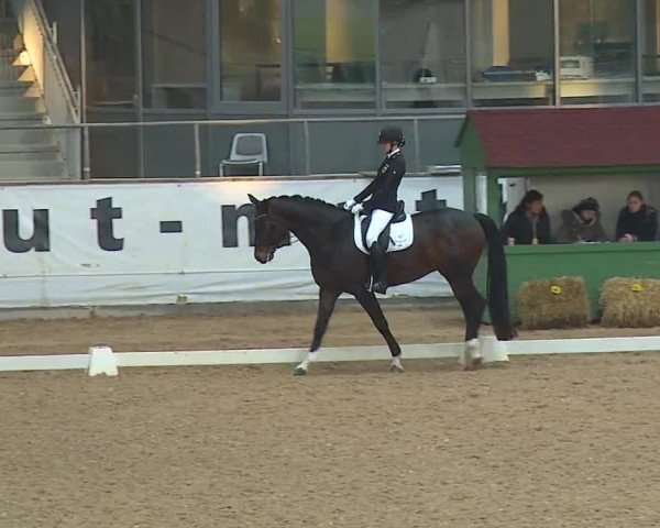Reitturnier Kreuth 2019