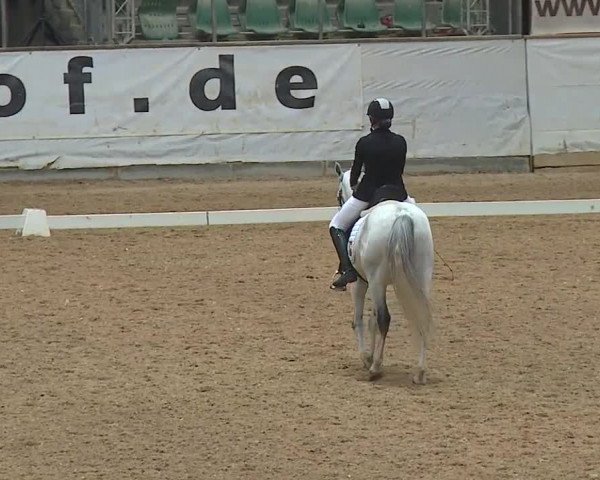 Reitturnier Kreuth 2019