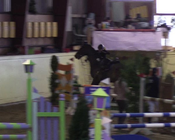 Reitturnier Looper Holz 2019