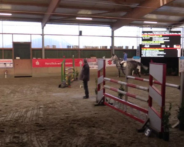 Reitturnier Velen 2019