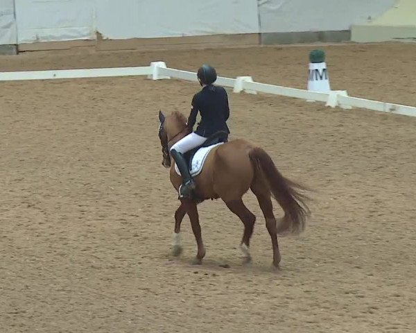 Reitturnier Kreuth 2019
