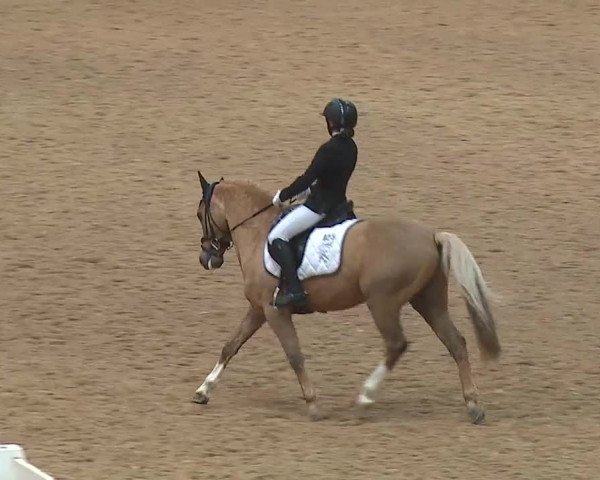 Reitturnier Kreuth 2019