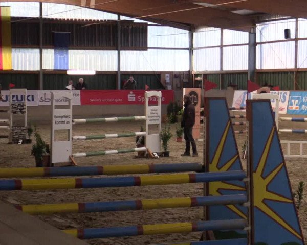 Reitturnier Velen 2019