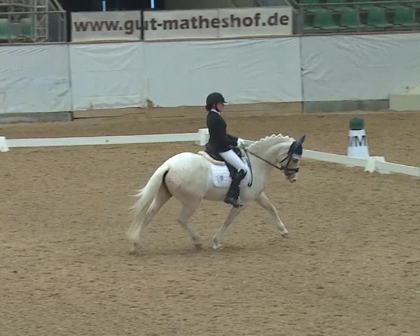Reitturnier Kreuth 2019