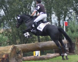 broodmare Butts La Jolie R (Trakehner, 2009, from Caruso Nero)
