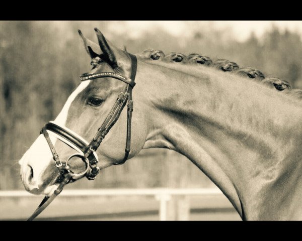 dressage horse Flunkiball (Westphalian, 2009, from Fleury)