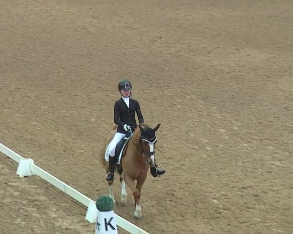 Reitturnier Kreuth 2019