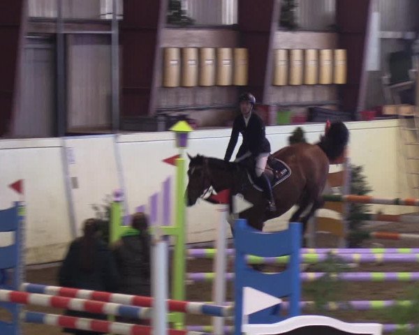 Reitturnier Looper Holz 2019