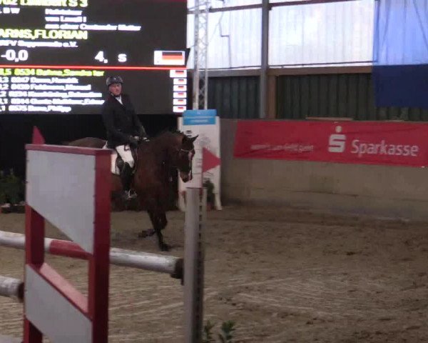 Reitturnier Velen 2019
