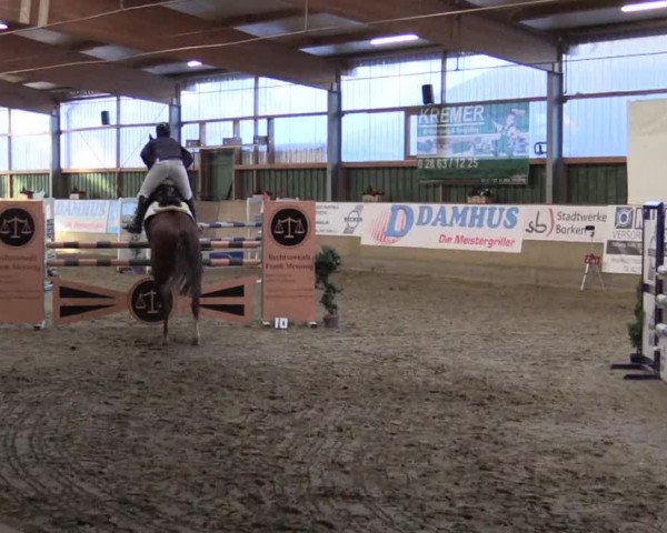 Reitturnier Velen 2019