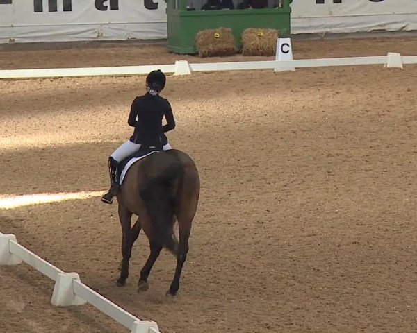 Reitturnier Kreuth 2019