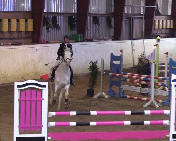 Reitturnier Looper Holz 2019