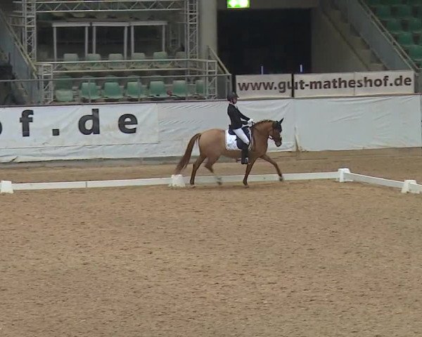 Reitturnier Kreuth 2019