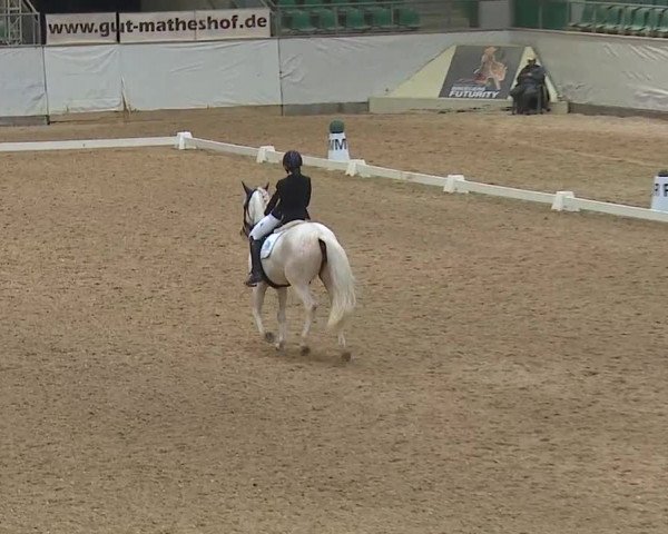 Reitturnier Kreuth 2019