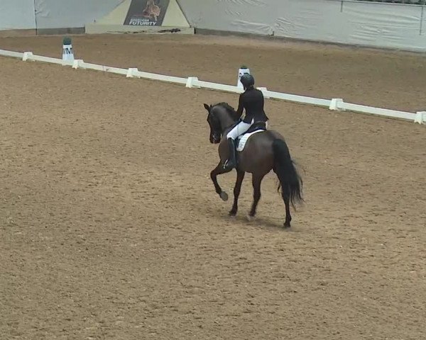 Reitturnier Kreuth 2019