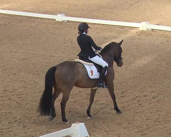 Reitturnier Kreuth 2019