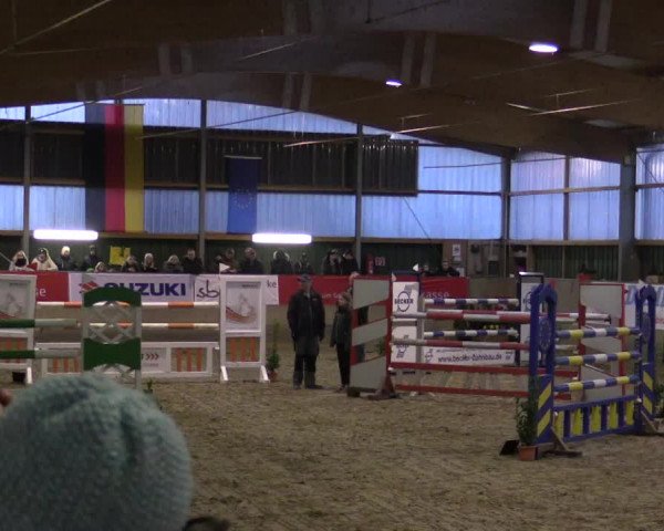Reitturnier Velen 2019