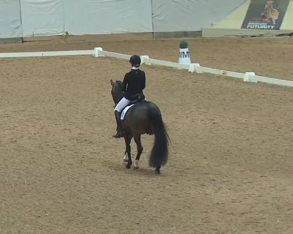 Reitturnier Kreuth 2019