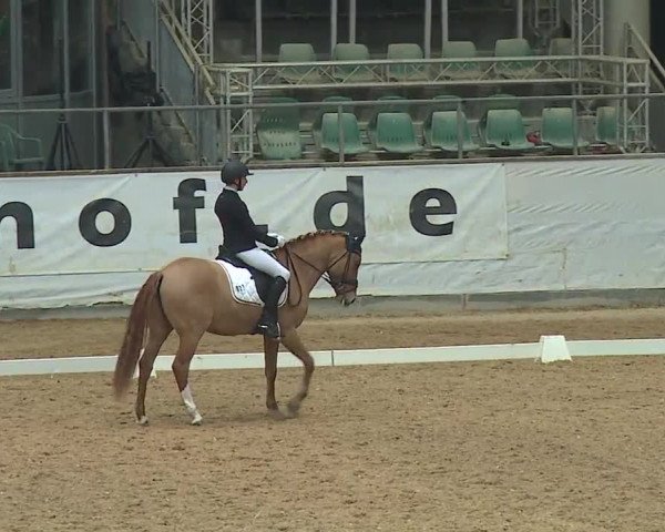Reitturnier Kreuth 2019