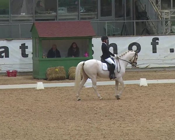 Reitturnier Kreuth 2019