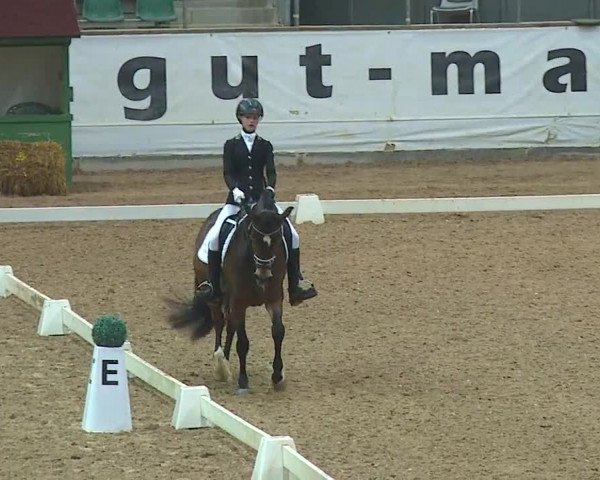 Reitturnier Kreuth 2019
