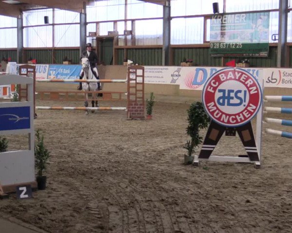 Reitturnier Velen 2019