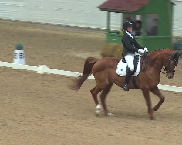 Reitturnier Kreuth 2019