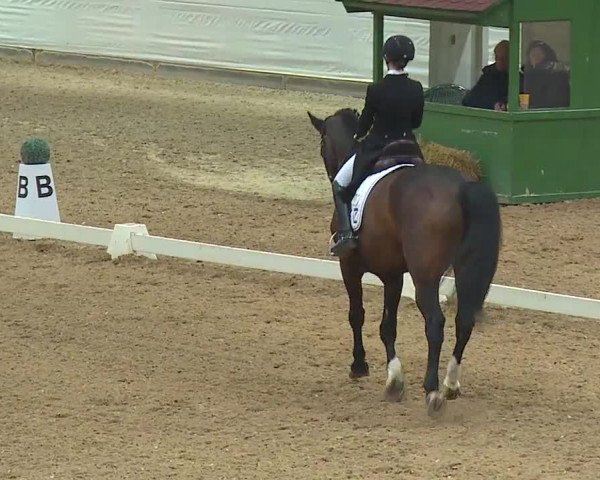 Reitturnier Kreuth 2019