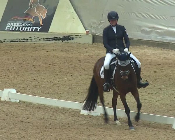 Reitturnier Kreuth 2019