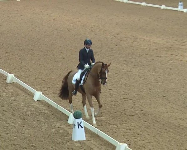 Reitturnier Kreuth 2019