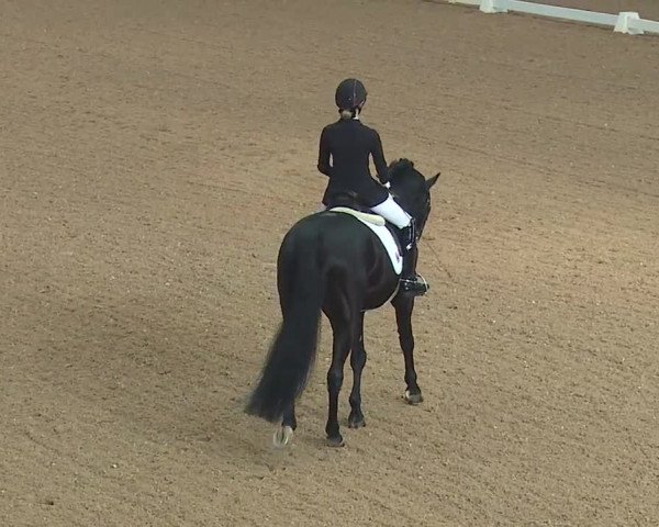Reitturnier Kreuth 2019