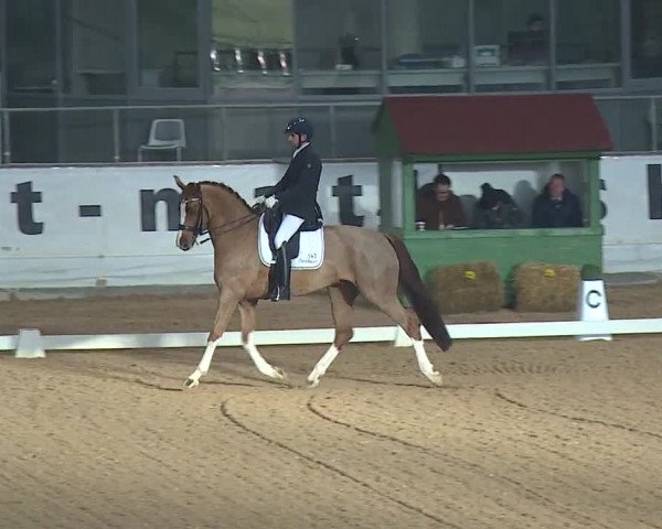 Reitturnier Kreuth 2019