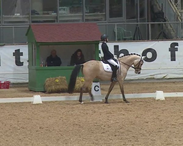 Reitturnier Kreuth 2019