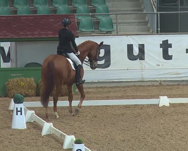 Reitturnier Kreuth 2019