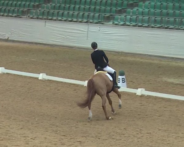 Reitturnier Kreuth 2019