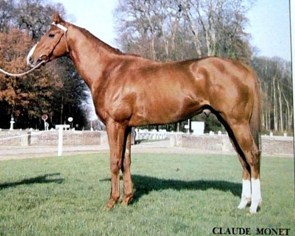 stallion Claude Monet xx (Thoroughbred, 1981, from Affirmed xx)