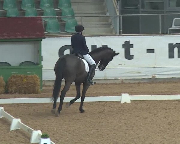 Reitturnier Kreuth 2019