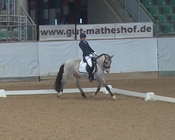 Reitturnier Kreuth 2019